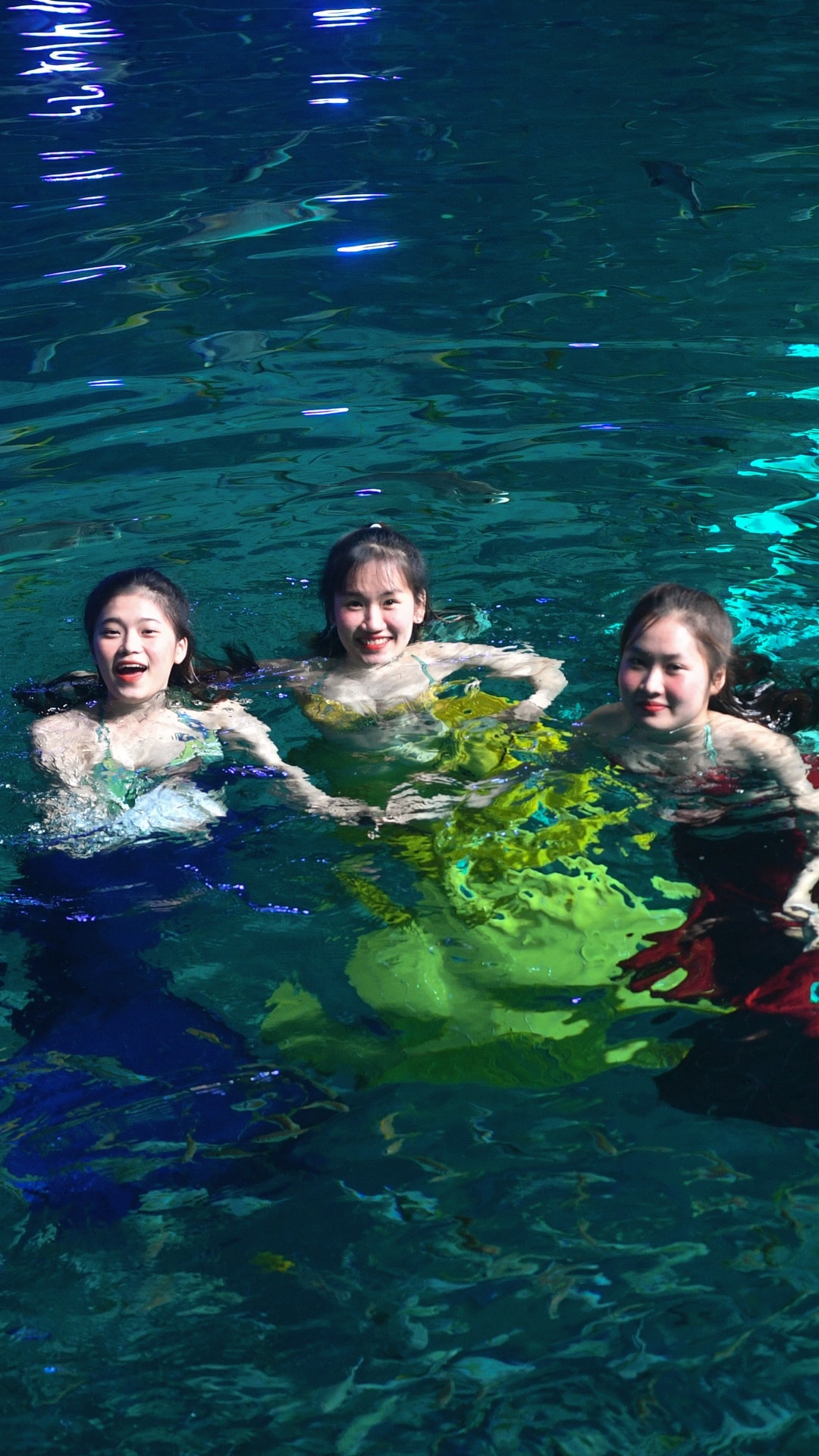 Một ngày của 'nàng tiên cá' ở Phú Quốc