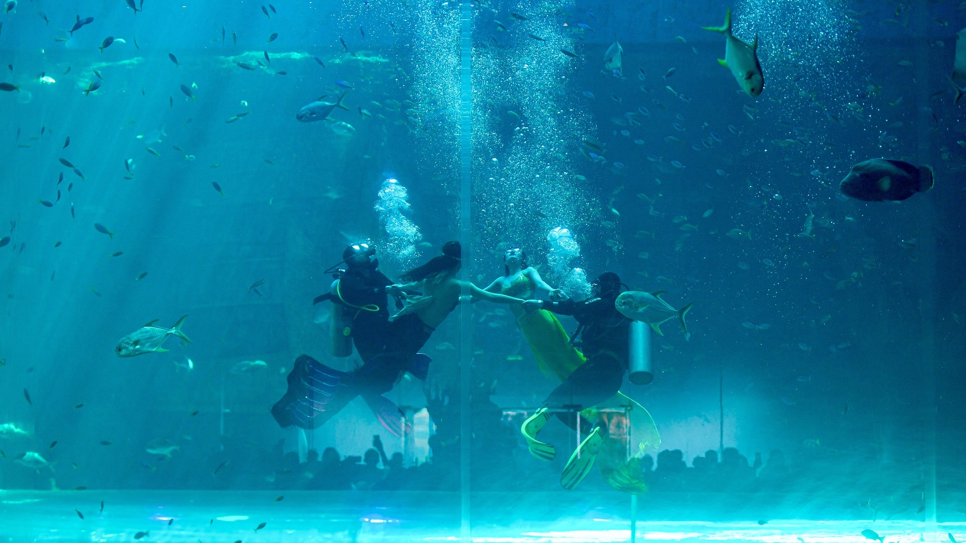 Một ngày của 'nàng tiên cá' ở Phú Quốc