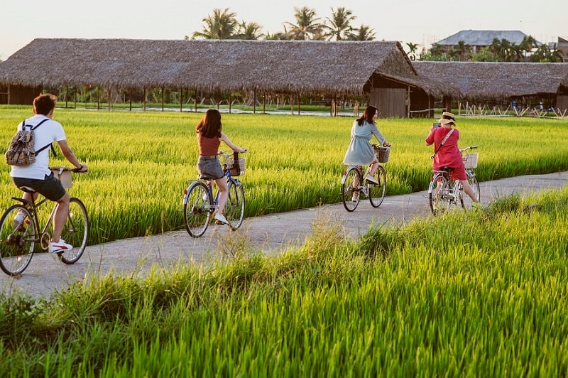 Theo chuyên gia, Dự thảo Luật Đất đai (sửa đổi) cần bổ sung khung pháp lý cho bất động sản du lịch nông nghiệp - Ảnh minh họa: ITN