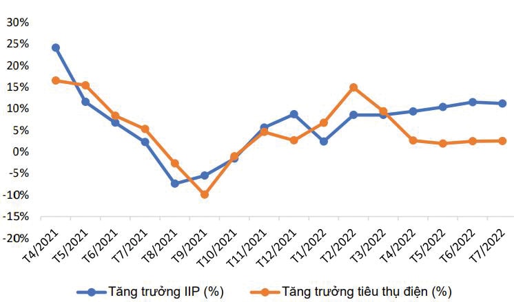  Tương quan tiêu thụ điện và Chỉ số sản xuất công nghiệp IIP. Nguồn: PSI Research