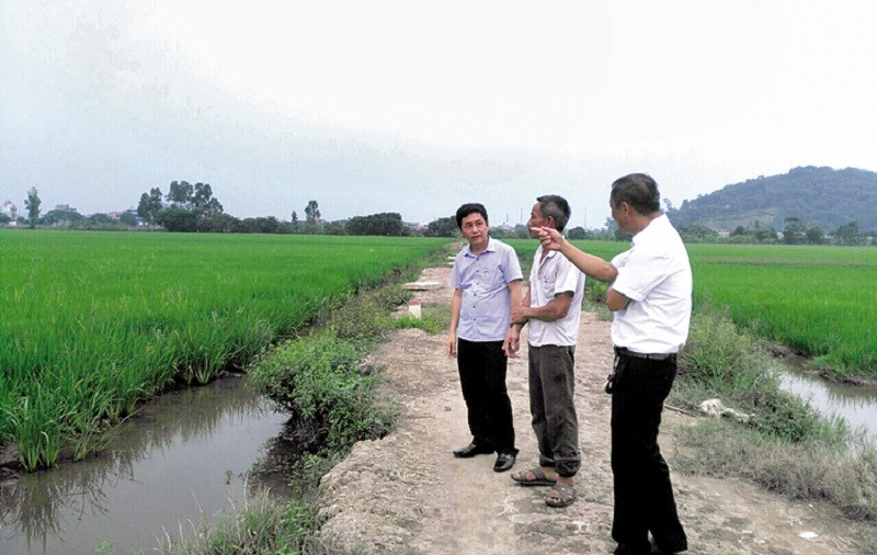 Gạo Xuân ToảnSản xuất lúa theo hướng nâng cao giá trị sản phẩm với quy trình khép kín, sản phẩm gắn liền với vùng nguyên liệu, kiểm soát nguồn gốc, minh bạch quy trình sản xuất, gạo sạch Toản Xuân đã khẳng định được vị thế ở thị trường trong nước