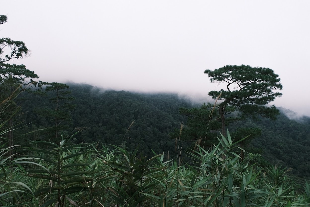 Du lịch Tây Nguyên mùa mưa