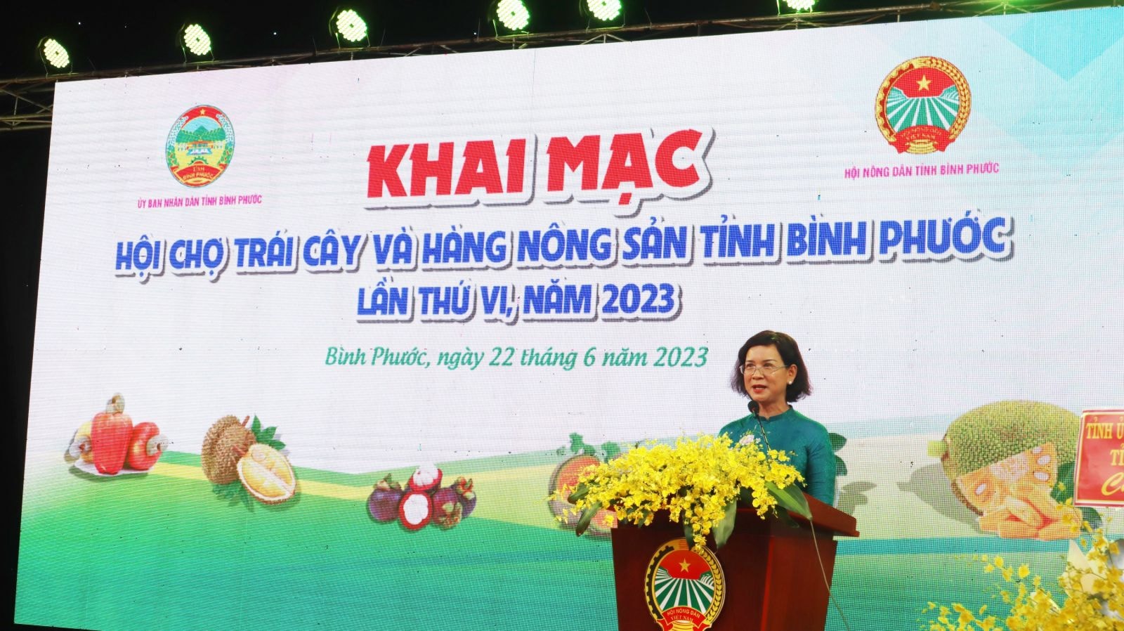 Phó Chủ tịch UBND tỉnh Trần Tuyết Minh phát biểu khai mạc hội chợ