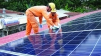 Đừng “cứng nhắc” với điện áp mái nhà máy