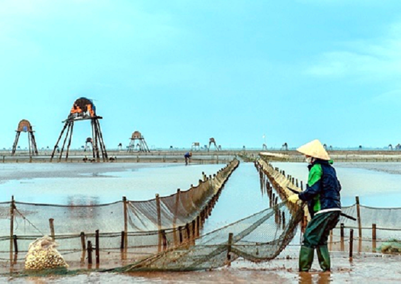 Ở Đồng Châu người dân làm nghề đánh bắt thủy, hải sản, đặc biệt nghề cào ngao nổi tiếng, đã tạo điểm nhấn phát triển du lịch cộng đồng trải nghiệm - thu hút du khách là hàng trăm chòi canh ngao ven biển được các ngư dân dựng lên