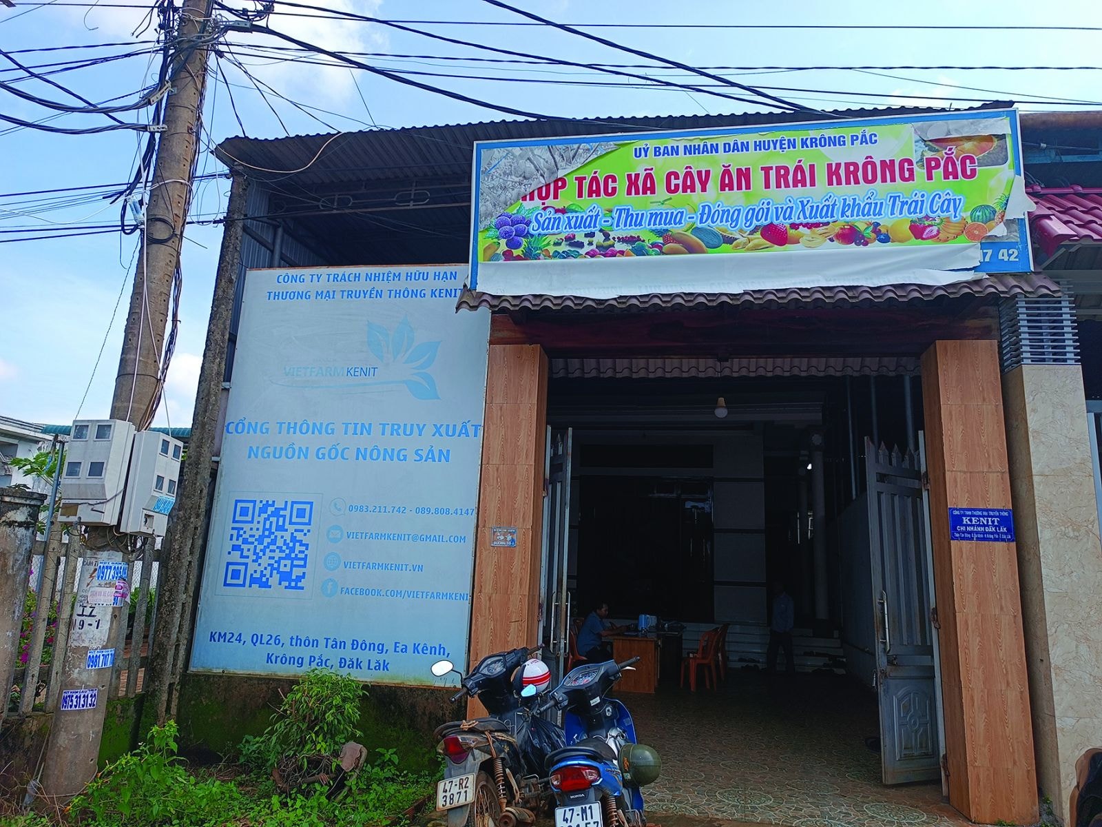 p/Hợp tác xã cây ăn trái Krông Pắc có địa chỉ tại nhà số 34, đường số 1, thôn Tân Đông, xã Ea Kênh, huyện Krông Pắc, tỉnh Đắk Lắk. Ảnh: Nguyễn Giang