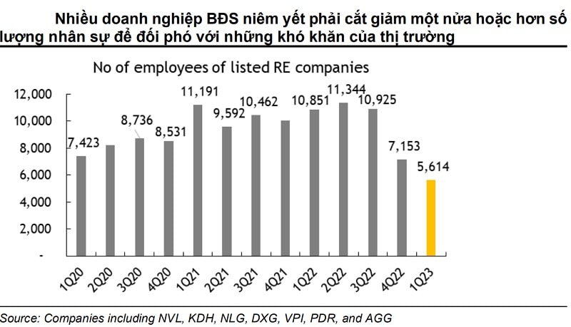 Các doanh nghiệp bất động niêm yết bao gồm NVL, KDH, NLG, DXG, VPI, PDR, ACG đã cắt giảm số lượng lớn nhân sự trong các quý qua 