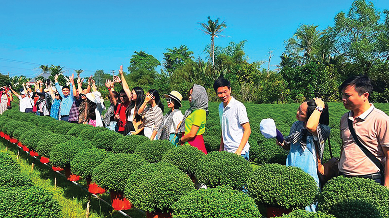  Khách du lịch tham quan vùng sản xuất hoa tại huyện Chợ Lách, tỉnh Bến Tre.