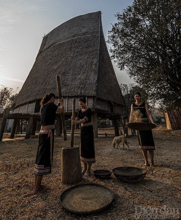  Tây Nguyên sở hữu đa dạng nét văn hóa của đồng bào các dân tộc thiểu số sinh sống