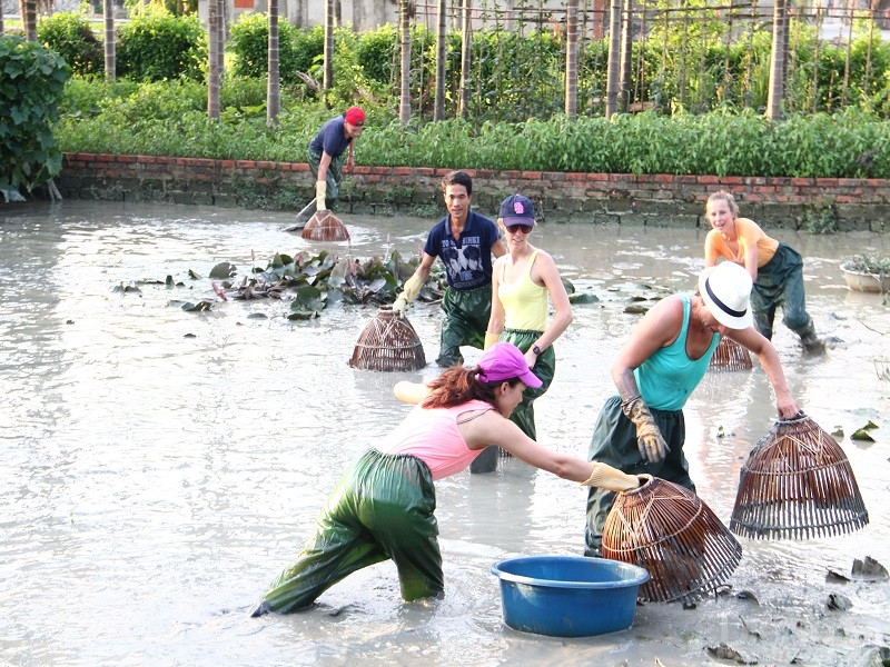 Một tuor bắt cá tại Làng Yên Đức rất được du khách yêu thích. Ảnh Yên Đức