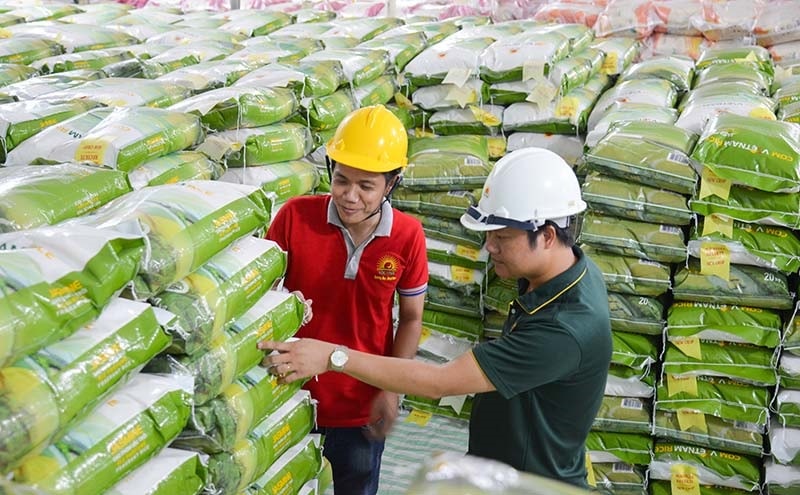 Giá gạo xuất khẩu tăng cao nhất trong một thập kỷ, có thể là cơ hội cho ngành gạo xuất khẩu nhưng có nguy cơ tăng lạm phát dù trọng số trong rổ tính CPI của gạo 