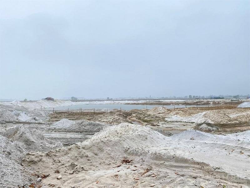 Khu vực khai thác của Công ty CP