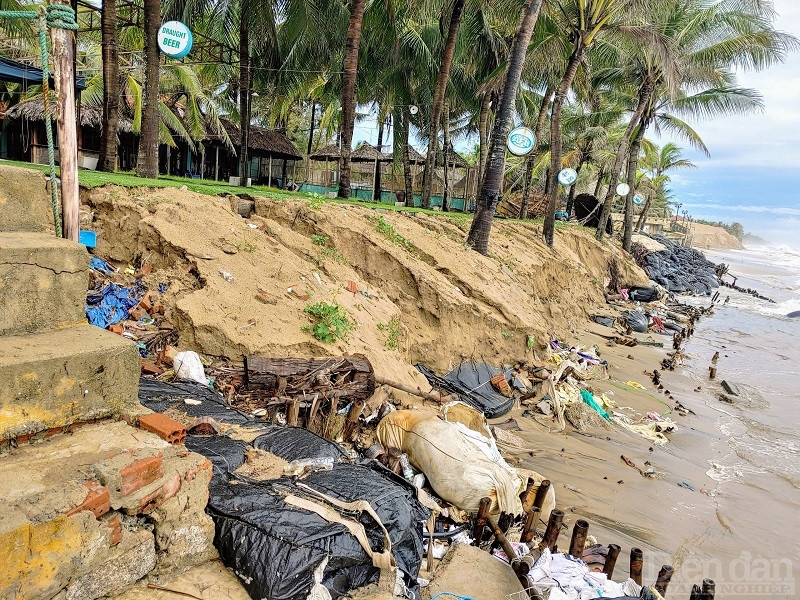 Tuy nhiên, vì nhiều nguyên nhân từ suy giảm diện tích rừng phòng hộ, do ảnh hưởng tiêu cực bởi thiên tại,... đã khiến bãi biển Cửa Đại trở nên hoang tàn sau mỗi mùa mưa bão.