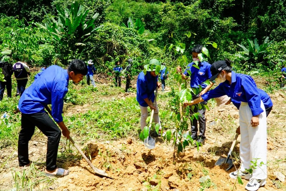 “Triệu cây xanh – Vì một Việt Nam xanh” năm 2023 lan tỏa thông điệp thiết thực đến cộng đồng