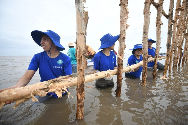 Với 25ha rừng được khoanh nuôi tái sinh, sẽ có gần 2.400m hàng rào được dựng nên từ 6.800 cọc cừ tràm và gần 4.700m lưới; được duy trì, bảo dưỡng hàng năm.