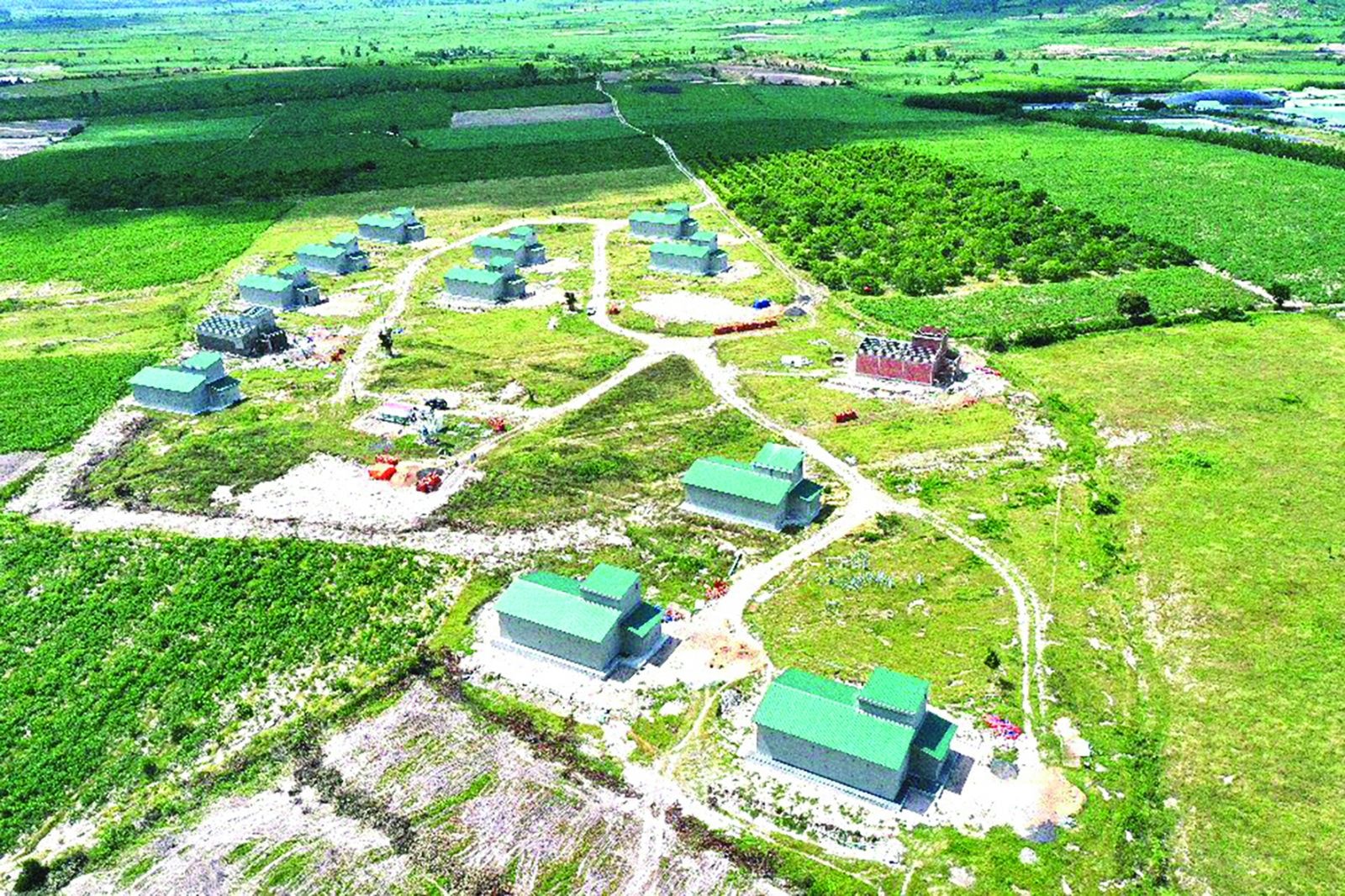  Những nhà yến được xây dựng tại cánh đồng rộng đảm bảo hiệu quảp/dẫn dụ yến về làm tổ 