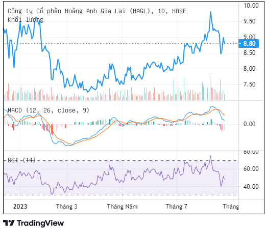 Trên thị trường, cổ phiếu HAG đang giao dịch với mức giá 