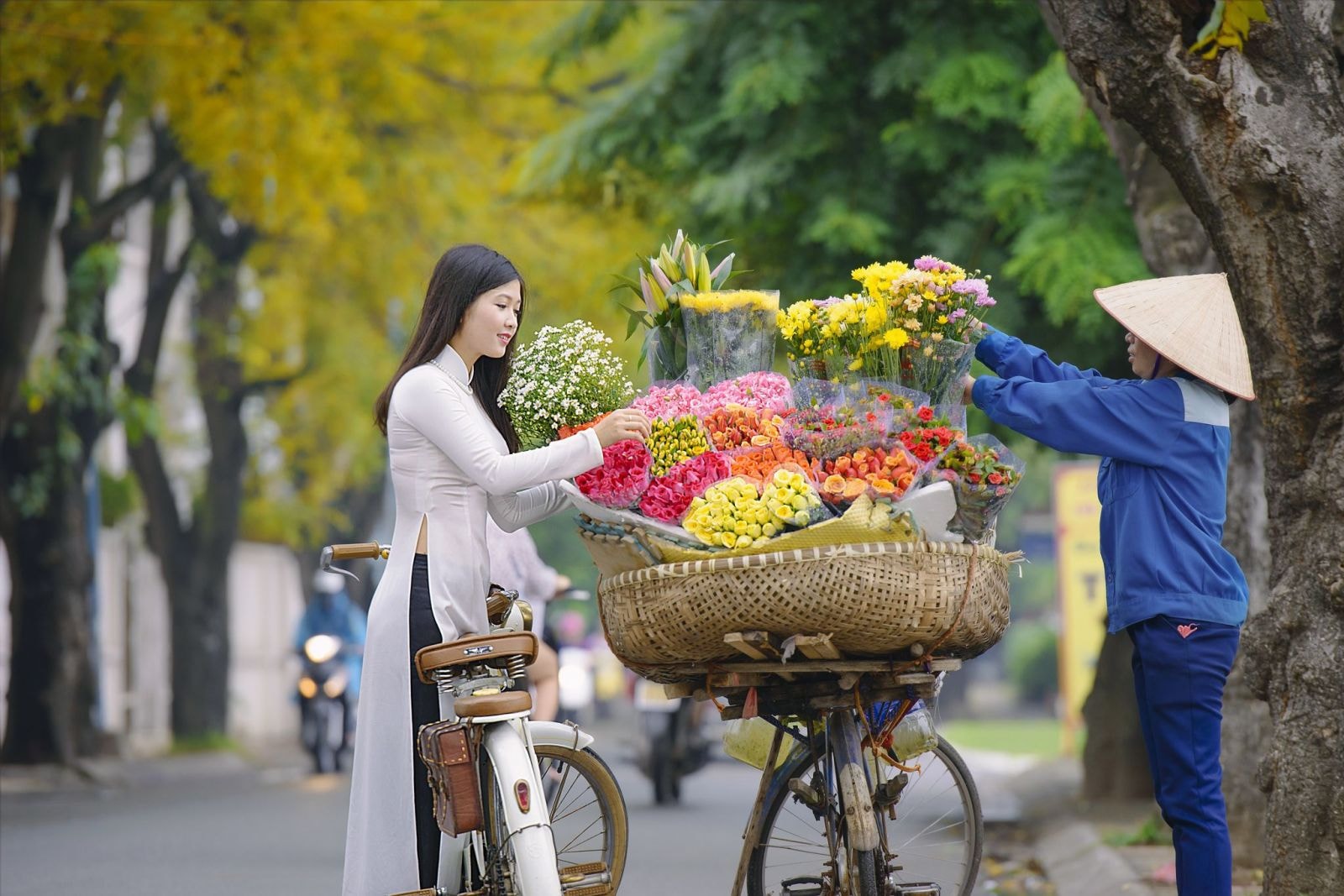 Mùa thu Hà Nội đã đi vào thơ ca, nhạc, họa như một biểu trưng của cái đẹp, sự lãng mạn của một mùa trong năm.