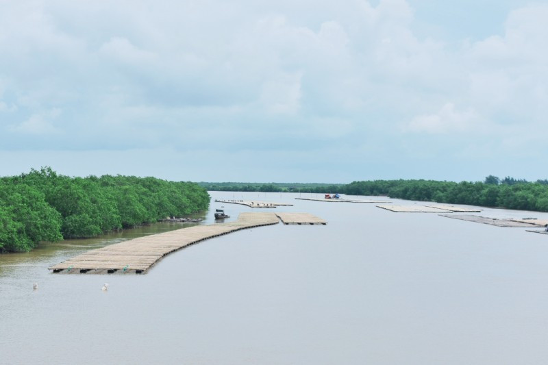 Khu bảo tồn thiên nhiên đất ngập nước Tiền Hải” thực chất chỉ là tên gọi của rừng ngập mặn ở ven biển Tiền Hải theo Quyết định số 2159. Đến nay tại Thái Bình mới chỉ có duy nhất Khu bảo tồn thiên nhiên đất ngập nước Thái Thụy