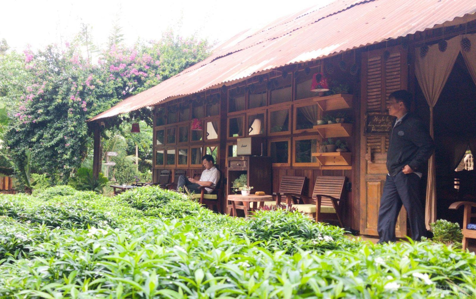 Du khách chọn tĩnh dưỡng ở farm homestay Mộc An Nhiên