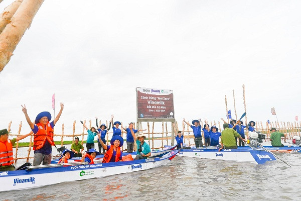 Nhân viên Vinamilk tham gia khoanh nuôi tái sinh rừng ngập mặn có diện tích 25ha do công ty thực hiện tại Cà Mau (cuối tháng 8/2023).