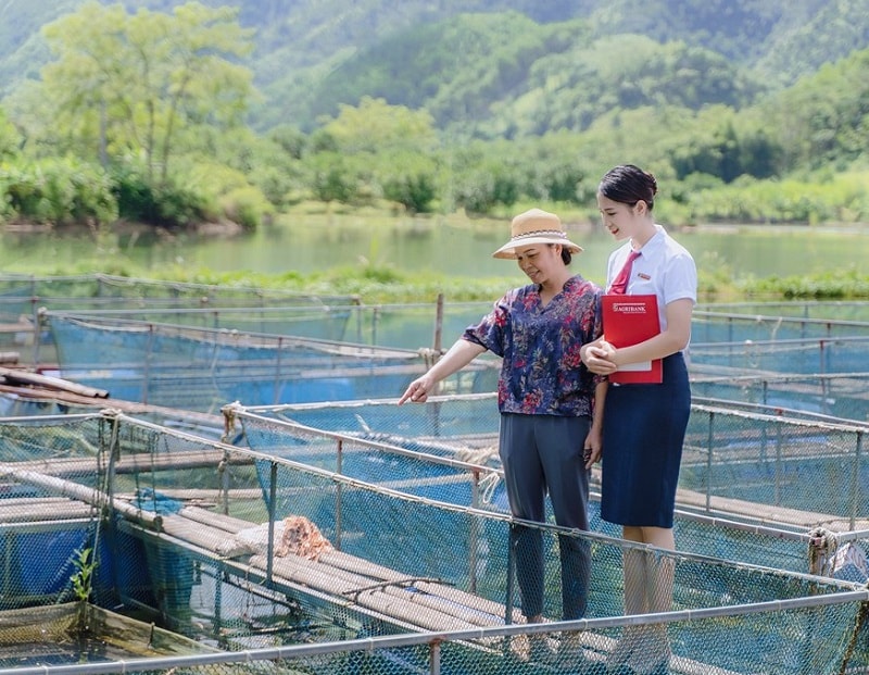 Agribank cho biết Agribank đã ban hành một loạt văn bản về việc thúc đẩy tăng trưởng tín dụng xanh và quản lý rủi ro môi trường và xã hội trong hoạt động cấp tín dụng