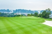 Quảng Ninh: Đặt mục tiêu trở thành trung tâm du lịch golf phía Bắc