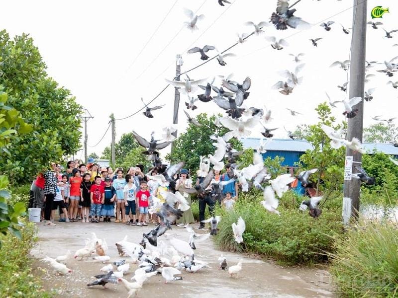 Hiện nhiều doanh nghiệp, cá nhân muốn đầu tư vào du lịch nông nghiệp nhưng không thực hiện được do có quá nhiều rào cản.