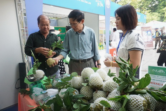 gian hàng trưng bày sản phẩm công – nông – thương, sản phẩm OCOP cùng các sản phẩm dịch vụ du lịch của Tây Ninh