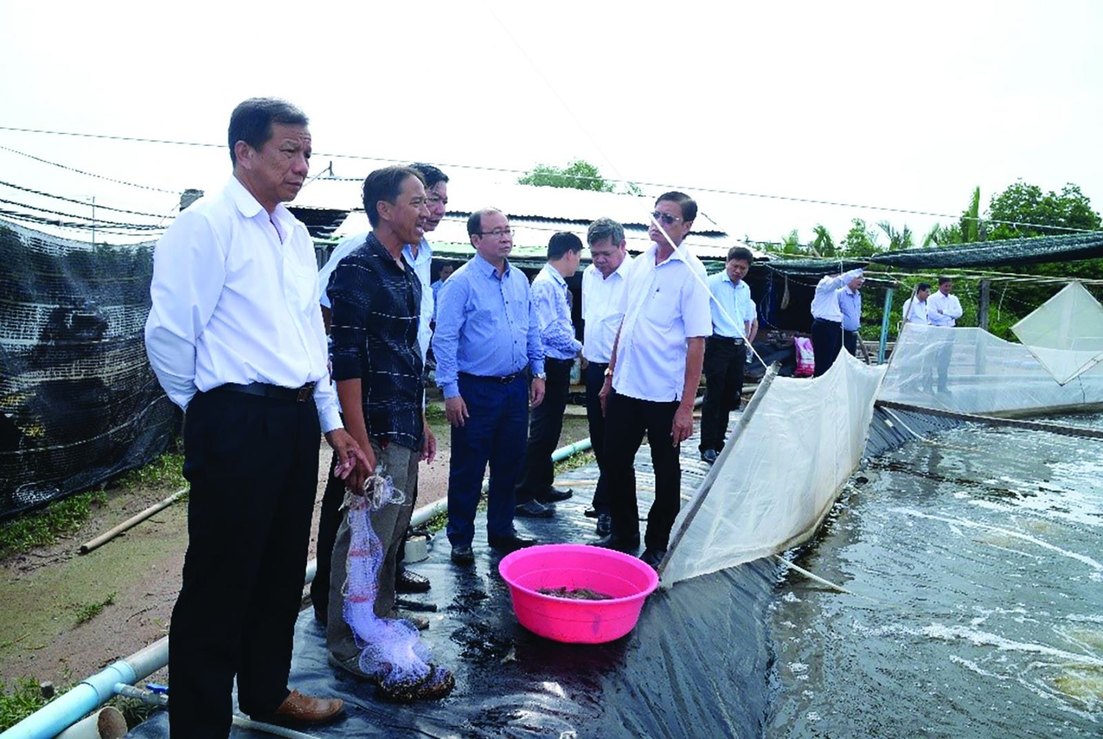  Tỉnh ủy viên, Bí thư Huyện ủy Nguyễn Văn Dũng khảo sát mô hình nuôi tôm ứng dụng công nghệ cao.