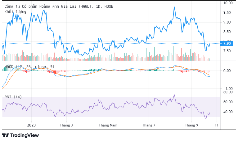 Trên thị trường, cổ phiếu HAG hiện đang giao dịch quanh thị giá 