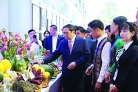 IPEC Đắk Nông:  “Bệ đỡ” tạo động lực doanh nghiệp, nhà đầu tư “cất cánh”