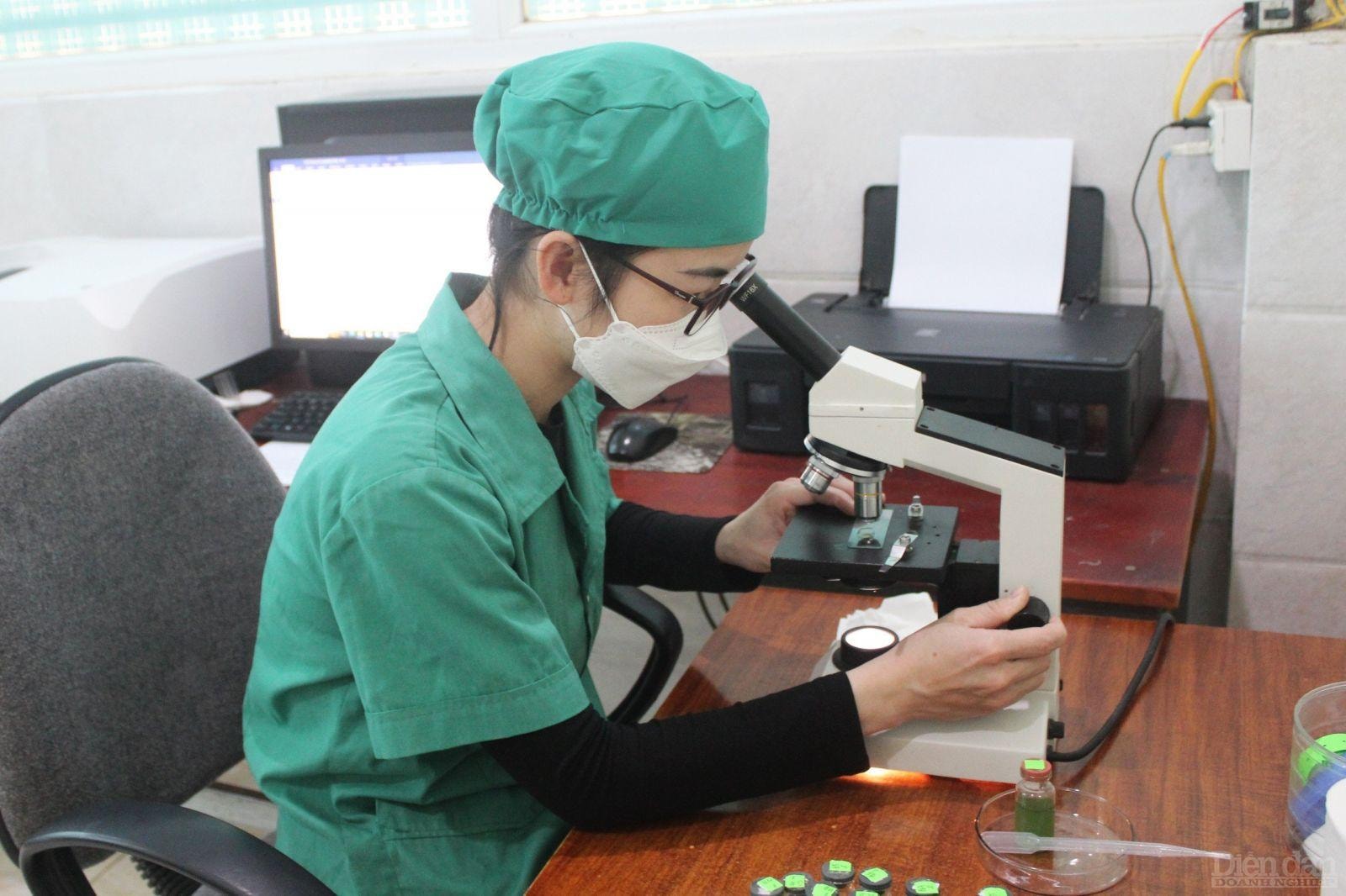 Nghệ An phấn đấu trở thành trung tâm khởi nghiệp đổi mới sáng tạo vùng Bắc Trung Bộ