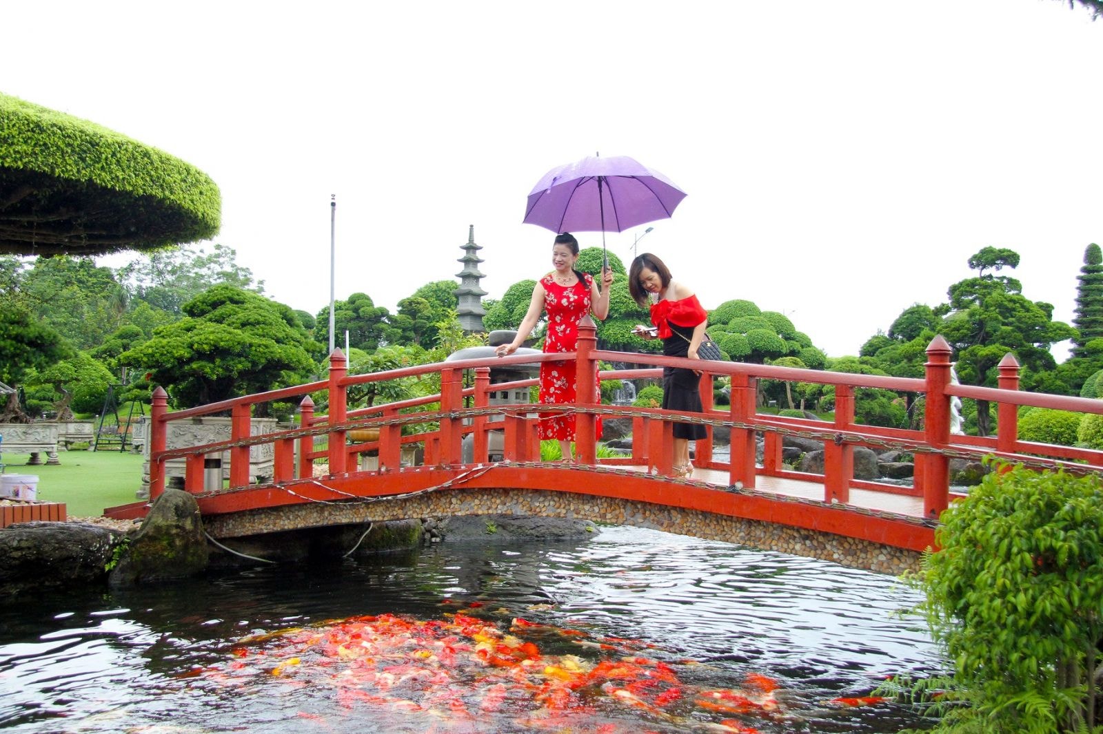 Hồ cá Koi lớn nhất miền Bắc trong khuôn viên Trung tâm thương mại tổng hợp Dũng Tân. Ảnh: Vũ Phường