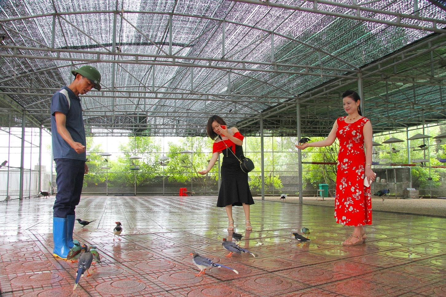 Vườn thượng uyển tại khu du lịch Dũng Tân.