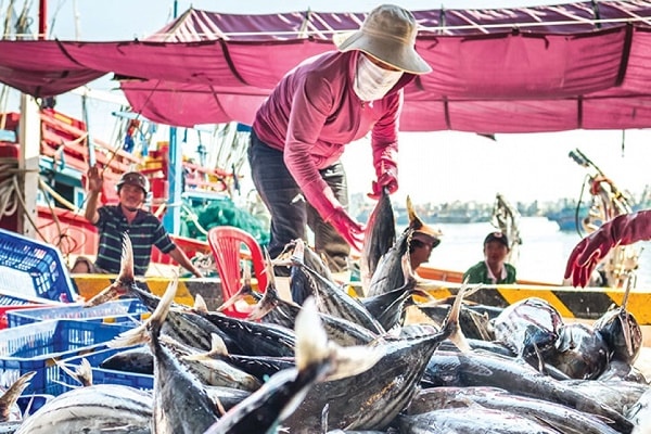 đoàn thanh tra của EC tiếp tục ghi nhận, đánh giá cao nỗ lực chống khai thác IUU, đặc biệt là quyết tâm chính trị, sự quan tâm, chỉ đạo của Chính phủ, Thủ tướng Chính phủ.