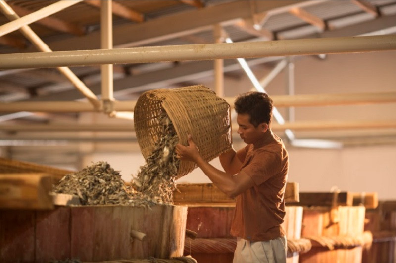 Trong chuyến thăm nhà thùng Phú Quốc, Chad Kubanoff đã đi từ hết bất ngờ này tới bất ngờ khác khi được chứng kiến quy trình công phu để cho ra đời nguồn nước mắm chất lượng cao.