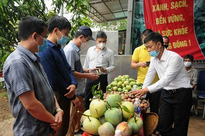 Đưa nông sản lên sàn thương mại điện tử là giải pháp hiệu quả giúp nông dân tiêu thụ nông sản