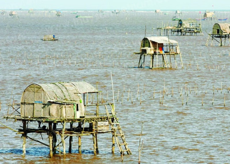 Nam Định là 