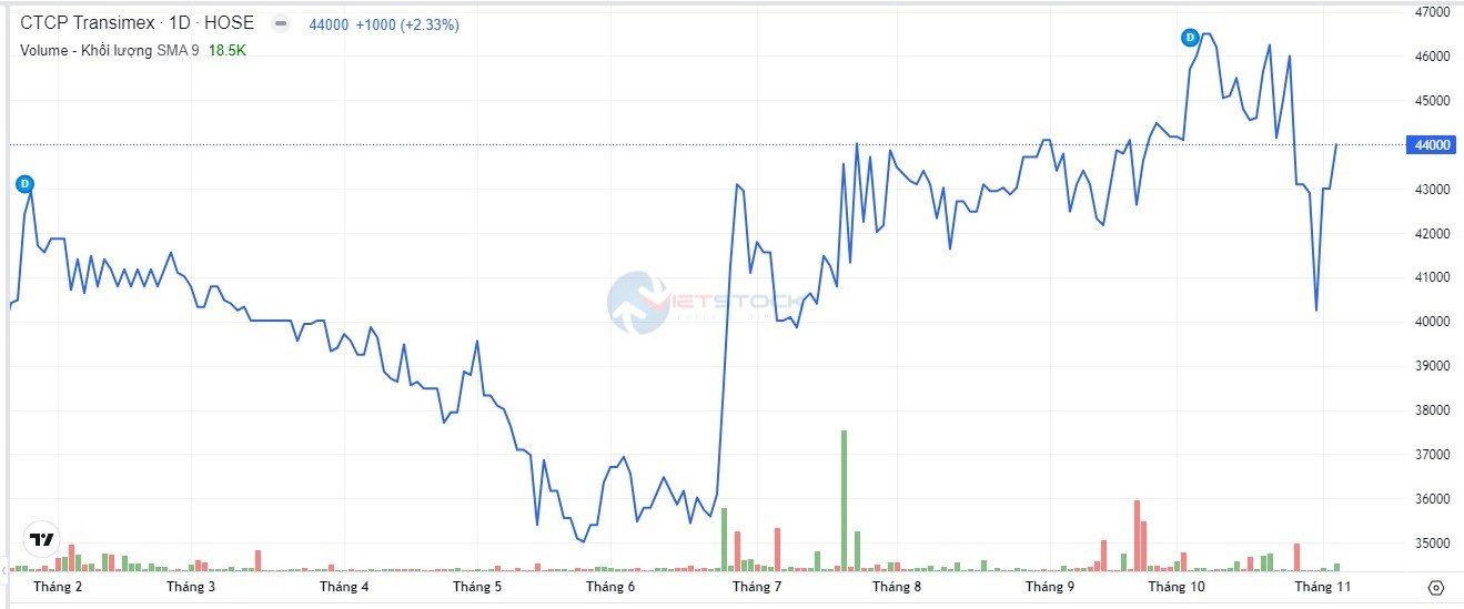 Trên thị trường cổ phiếu TMS đạt 44.000 đồng/cổ phiếu, tăng