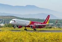 Thưởng hoa Đà Lạt - ngắm biển Busan dễ dàng với đường bay mới của Vietjet