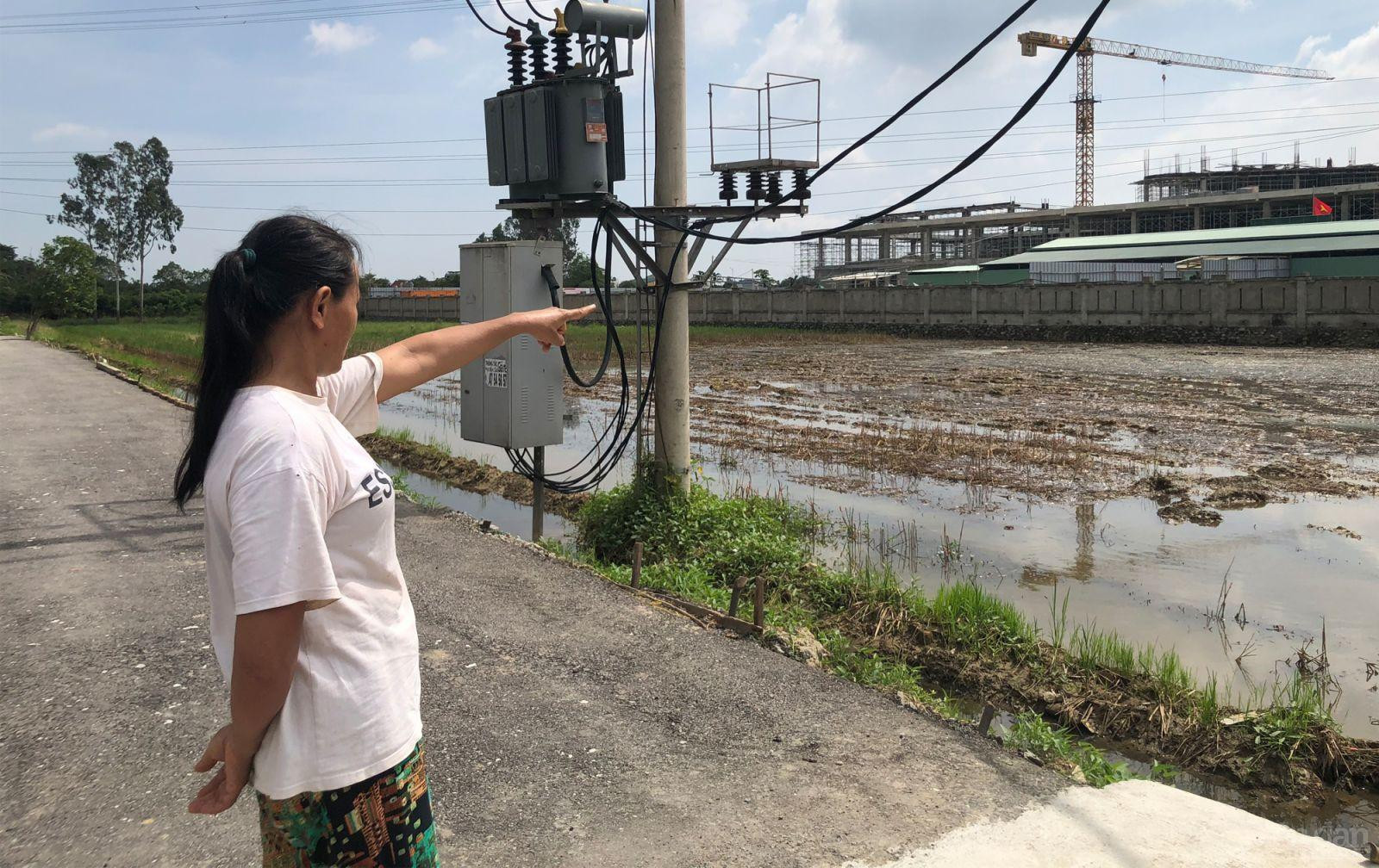 Người dân xóm Trung Liên, xã Nghi Liên mong muốn bệnh viện có biện pháp xử lý, không để nước thải chảy ra ruộng để họ yên tâm canh tác, sản xuất nông nghiệp, phục vụ đời sống kinh tế