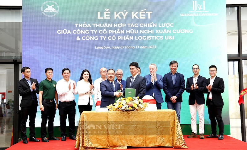 cái “bắt tay” của những ông lớn như Xuân Cương và U&I được kỳ vọng hoàn thiện hơn chuỗi cung ứng dịch vụ logistics cho nông sản. 