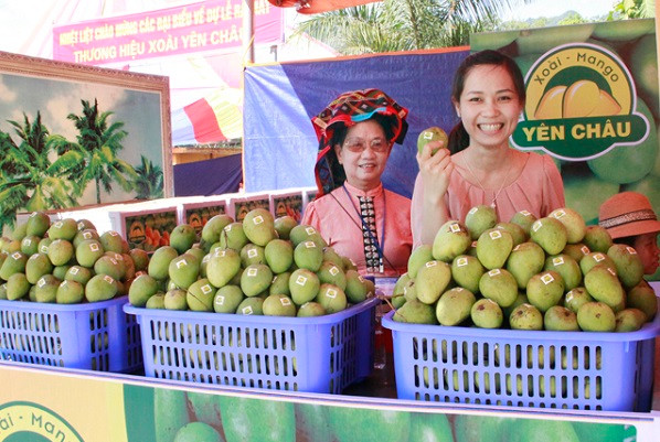 Yên Châu xây dựng thương hiệu, quảng bá sản phẩm giúp tiêu thụ sản phẩm