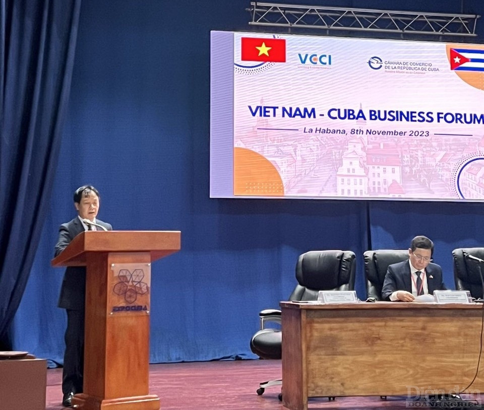 Đại diện VCCI phát biểu tại Diễn đàn