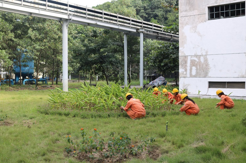 Mang lại màu xanh, cảnh quan sạch đẹp xung quanh các vị trí trực vận hành NM Nhiệt điện Uông Bí