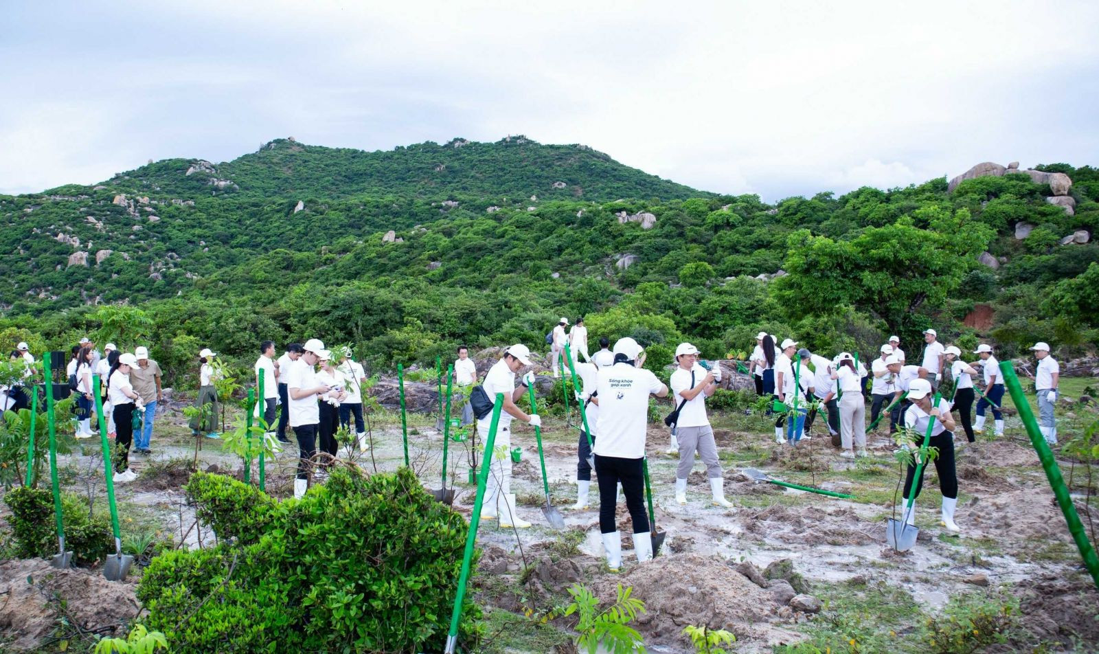 “Sống khỏe góp xanh” là chiến dịch quan trọng hằng năm của Panasonic trên hành trình kiến tạo các giải pháp vì sức khỏe cho người tiêu dùng Việt Nam