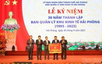 Hải Phòng cần quy hoạch hình thành các khu công nghệ và đổi mới sáng tạo