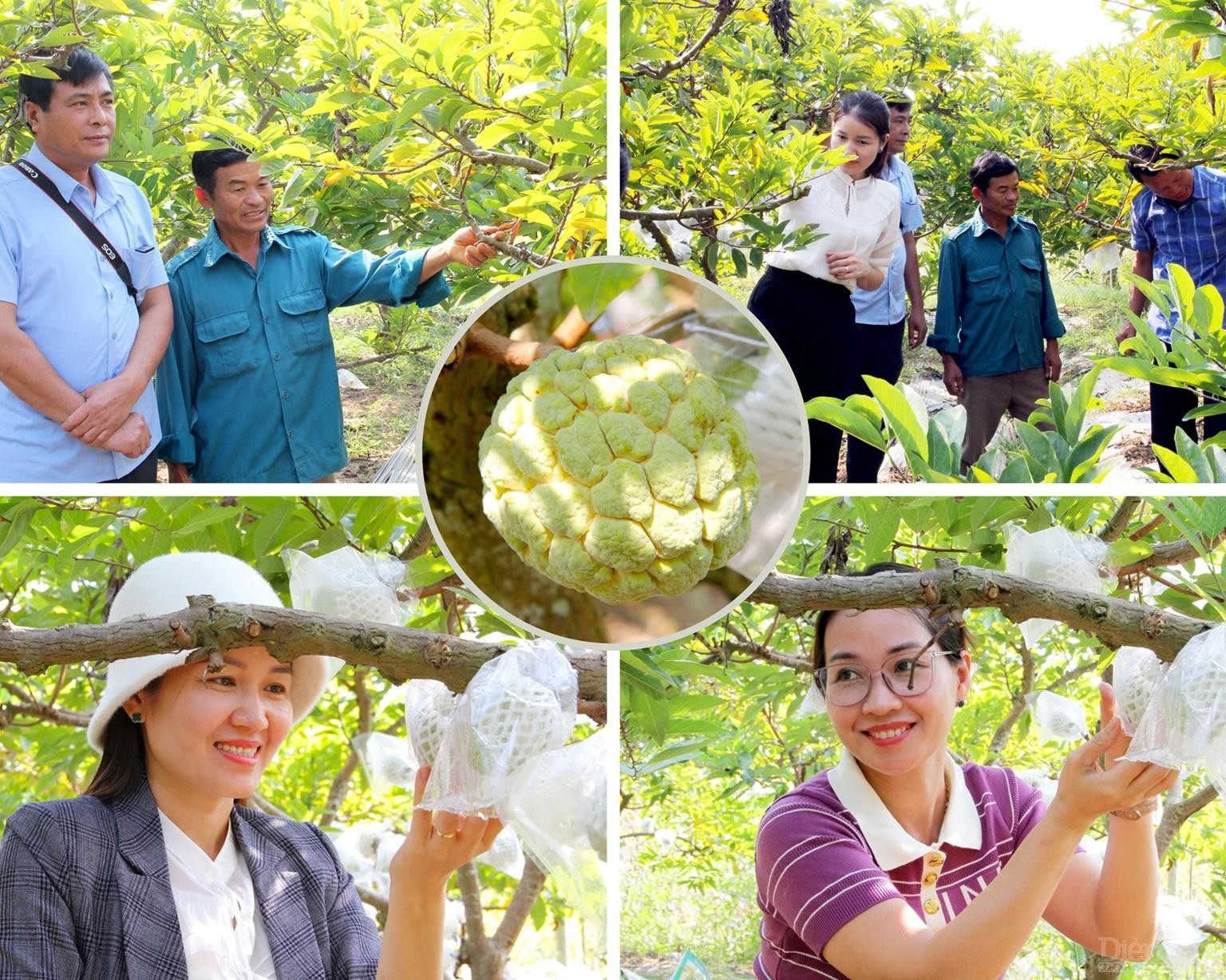 Huyện Lục Nam hướng tới phát triển mô hình du lịch trải nghiệm gắn với các sản phẩm OCOP địa phương