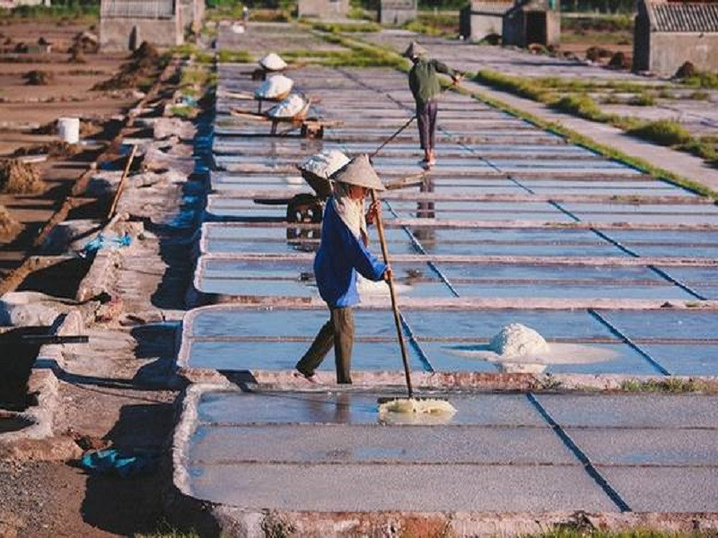 Cánh đồng muối Hải Hậu (ảnh: Trần Tiến Thành)